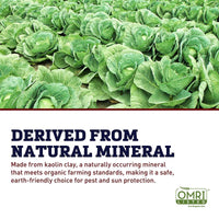 Surround WP Organic Crop Protectant 25 lb.