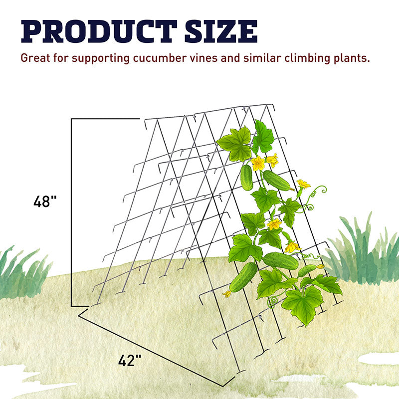 do cucumber plants need a trellis Cucumber Support Trellis – Harris Seeds
