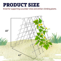 Cucumber Support Trellis
