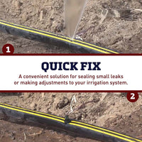 Double Sided Goof Plugs 100 ct.