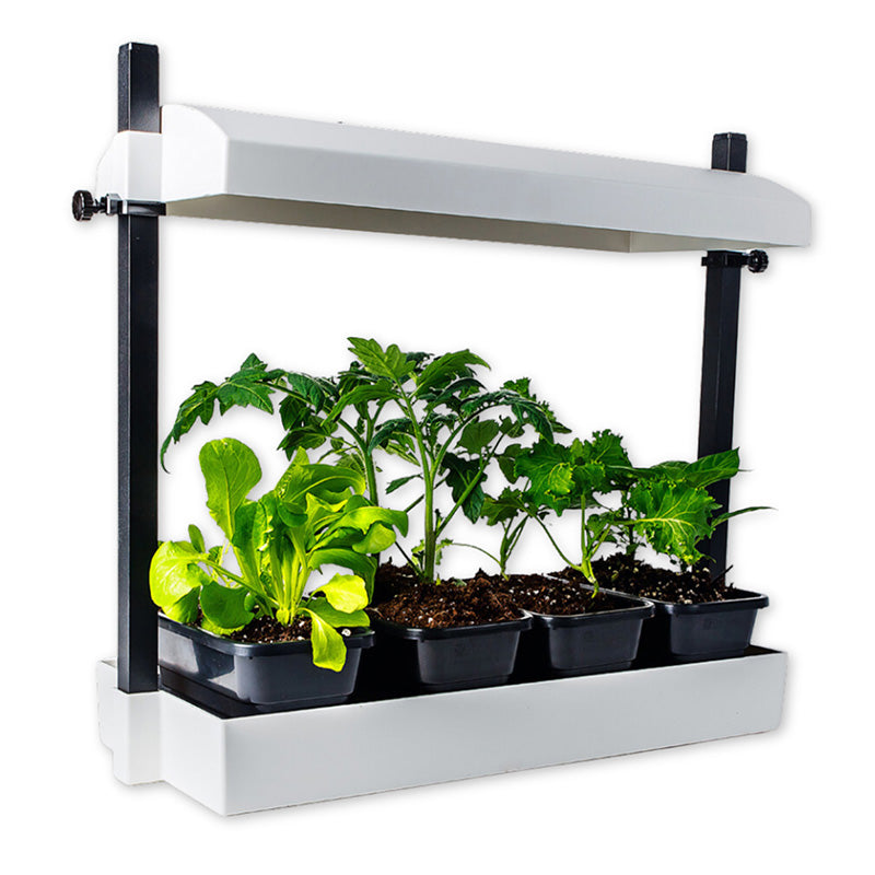 white grow lights for indoor plants SunBlaster Micro Grow Light Garden