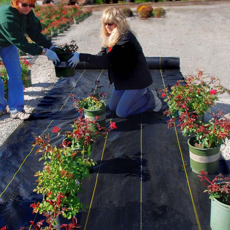weed tarp Sunbelt 4' x 300' Ground Cover
