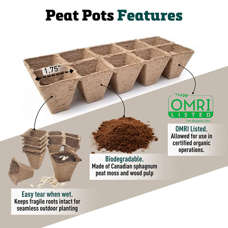 planting seed strips Jiffy Strips-n-Greenhouse Kit