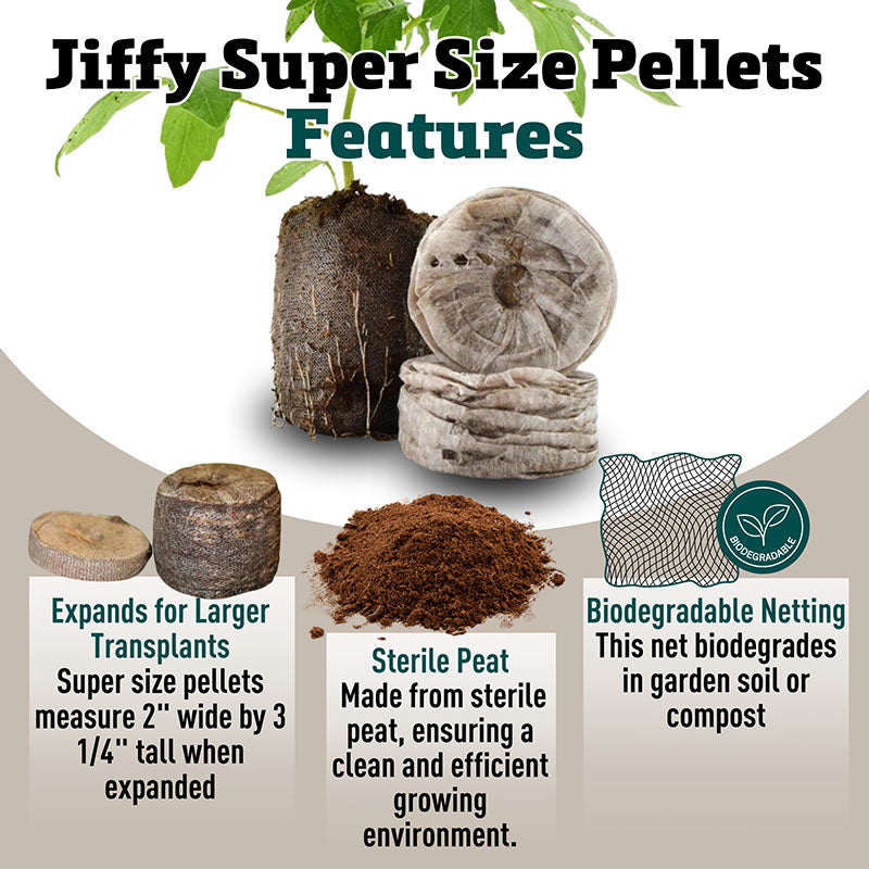 planting seeds in jiffy peat pellets Jiffy Greenhouse 36 ct Super Size Pellet Kit
