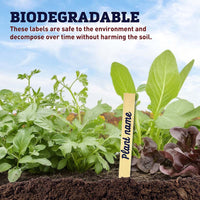 Rapiclip 6" Wood Labels