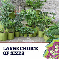 Haxnicks Vigoroot Pots 20L 3 pack