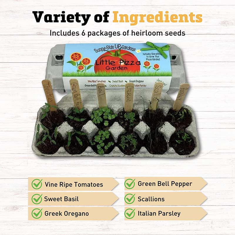 Sunny Side Up Little Pizza Garden Kit – Harris Seeds