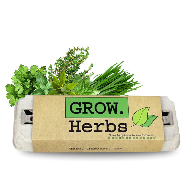growing herbs seeds or plants Grow Gardens Grow Herbs Kit
