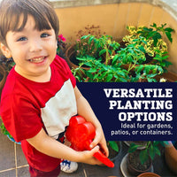 Grow Gardens Grow Salsa Kit