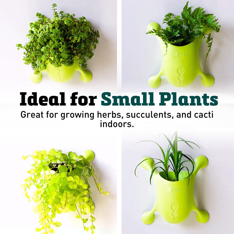 small plant pots for herbs Livi Pot Lime