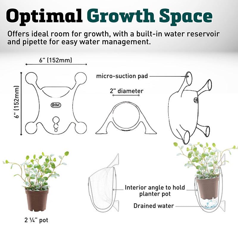 plant pots with water reservoir Livi Pot - Vertical Planter for Windows and Smooth Surfaces - 6 x 6