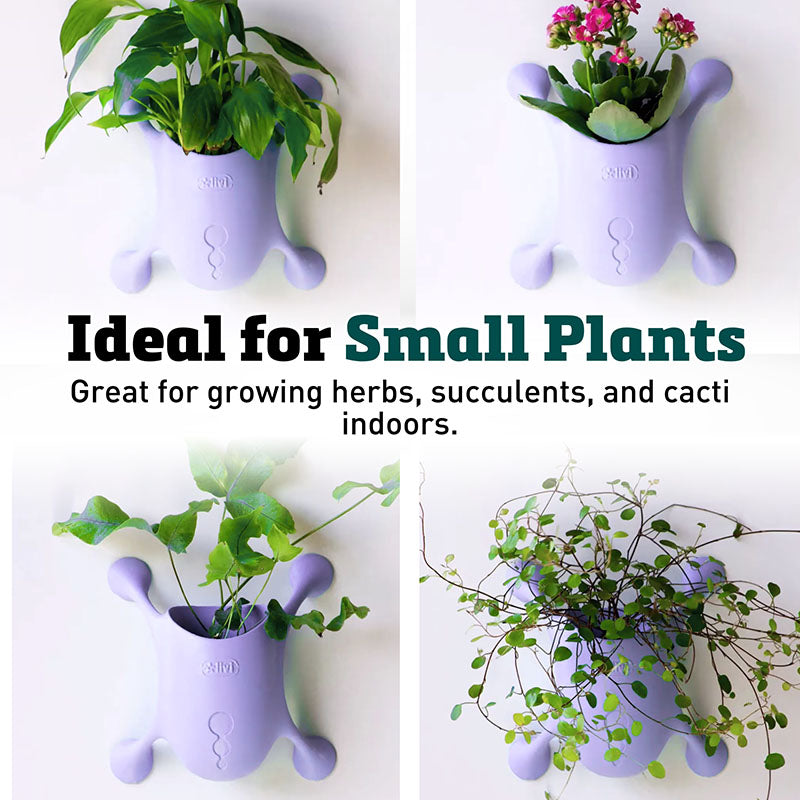Livi Pot - Innovative Vertical Planter for Home And Office