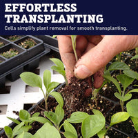 128 Deep Cell Plug Trays