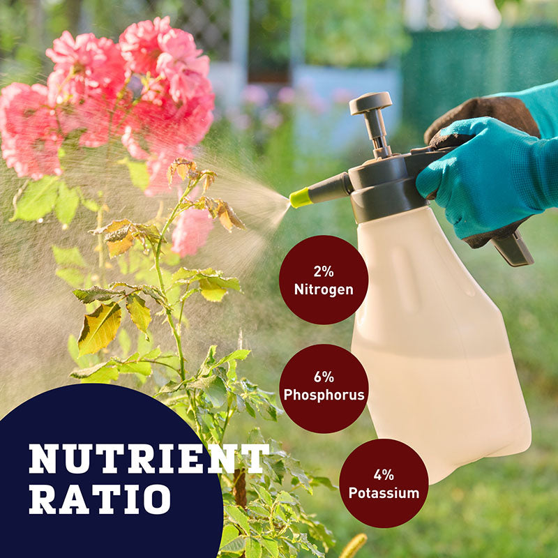 best flowering plant fertilizer Neptune's Harvest Rose & Flowering 2-6-4 32 oz. (1 qt.) Organic Fertilizer