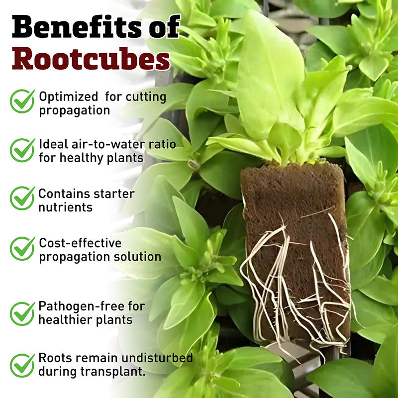 garden cube seeds Oasis Horticubes Grow Cubes 50ct Sheet Case of 20