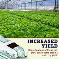 Riococo 15 Liter Coir Grow Slabs