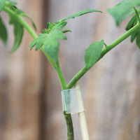 Slotted Silicon Grafting Clips 2 mm (100 ct)