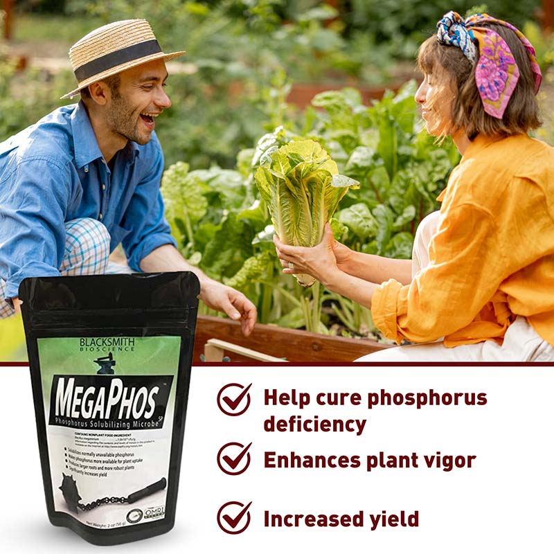 plant fertilizer high in phosphorus MegaPhos Phosphorus Solubilizing Microbe Organic Fertilizer