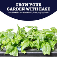 oxyCLONE oxyCERTS Blue 1-7/8"