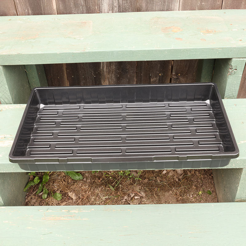 Tray No Drainage 11 X 21 HARD GOOD / 50 each / NA