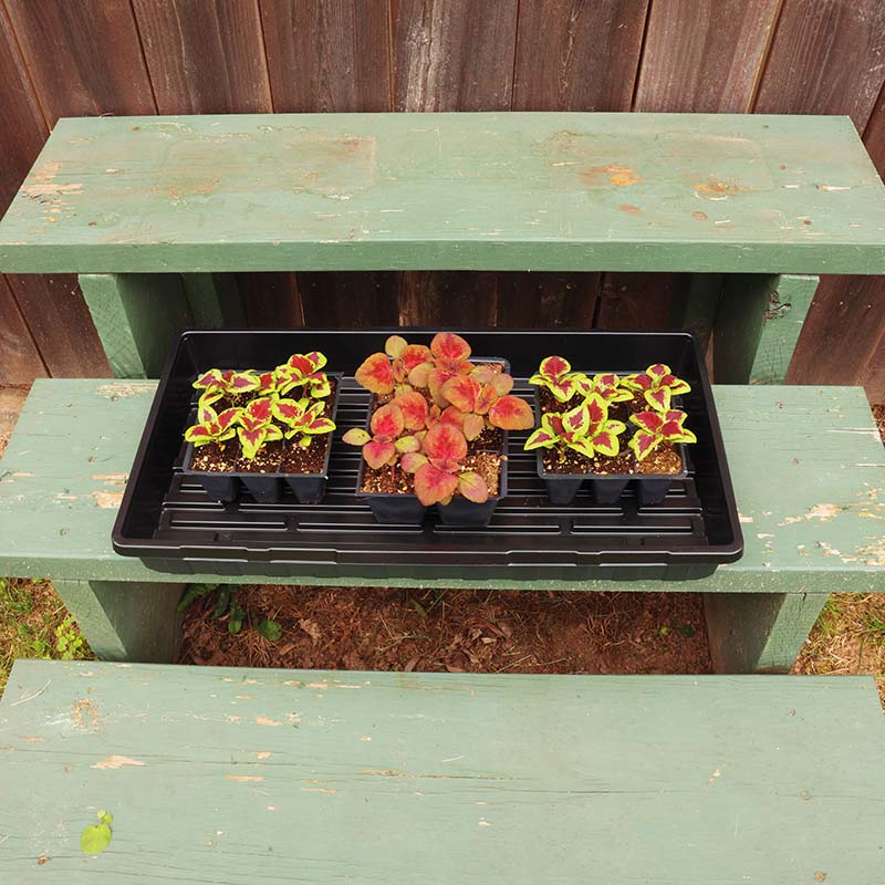 Tray No Drainage 11 X 21 HARD GOOD / 50 each / NA