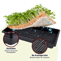 Tray No Drainage 11 X 21