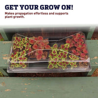 Dome 3.5" Clear Plastic Unvented