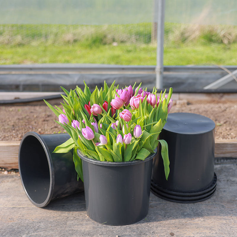 10l plant pot size Cut Flower Buckets 10 L Wide HARD GOOD / 20 each / NA