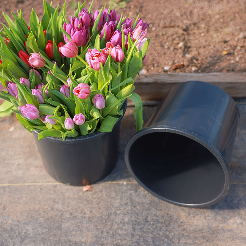 10l plant pot size Cut Flower Buckets 10 L Wide HARD GOOD / 20 each / NA