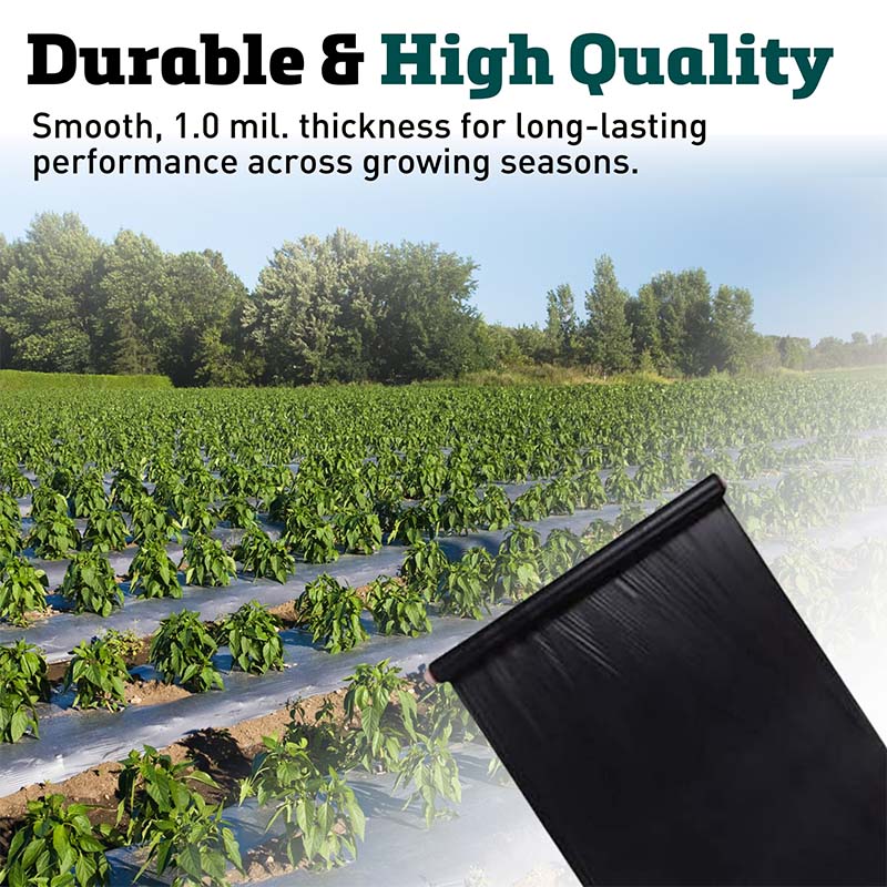black planting plastic Black Plastic Mulch 4' x 50'