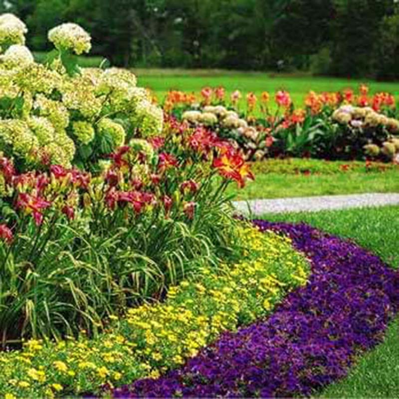 garden trends harris seeds Harris Seeds' Pleasant View Program