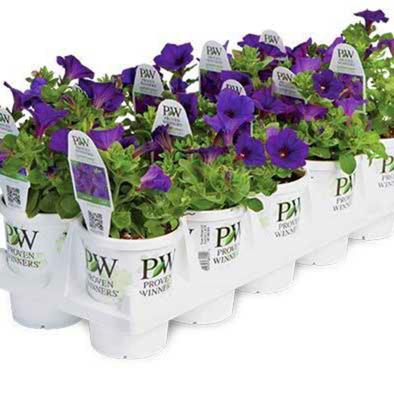 harris seeds garden trends Harris Seeds' Pleasant View Program