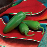 Pepper Compadre F1 Raw Untreated - 5,000 seeds