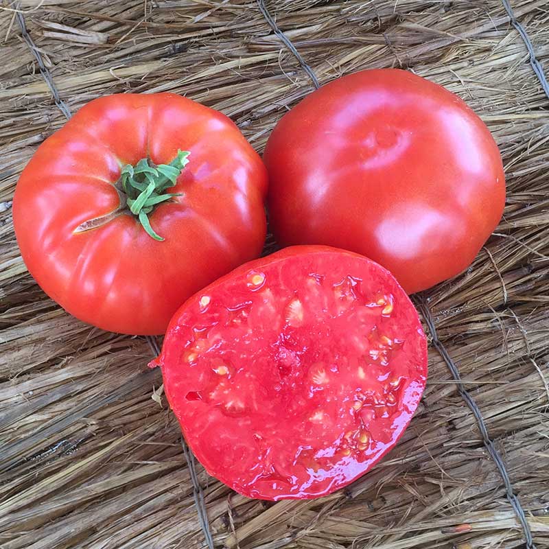 Heirloom Beefsteak Tomato