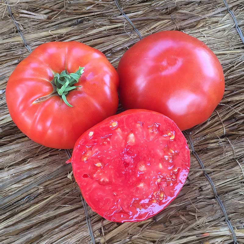Tomato Beefsteak Organic Seed – Harris Seeds