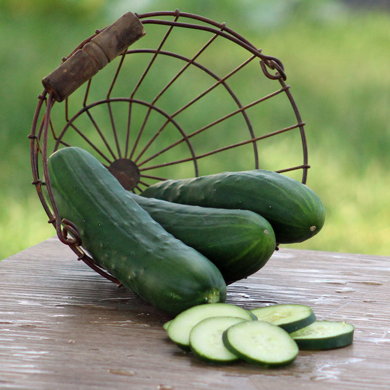Cucumbo Spiral Slicer Ideal for Cucumbers and Zucchini, Green