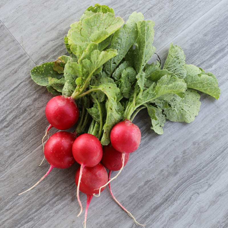 11 Types of Radishes You'll See at the Farmers Market This Year