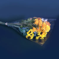 Clear Bouquet Sleeves (Medium)