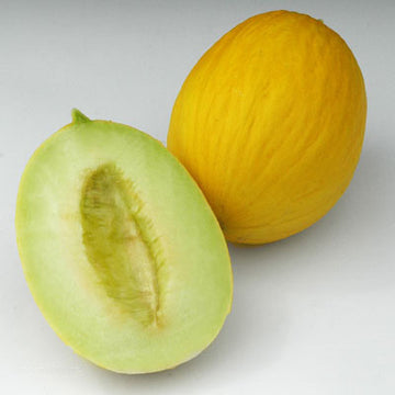 Melon Durasol F1 Seed