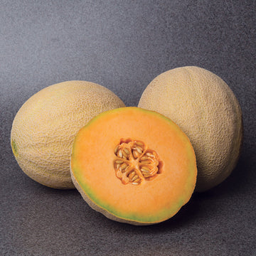 Melon Accolade F1 Seed