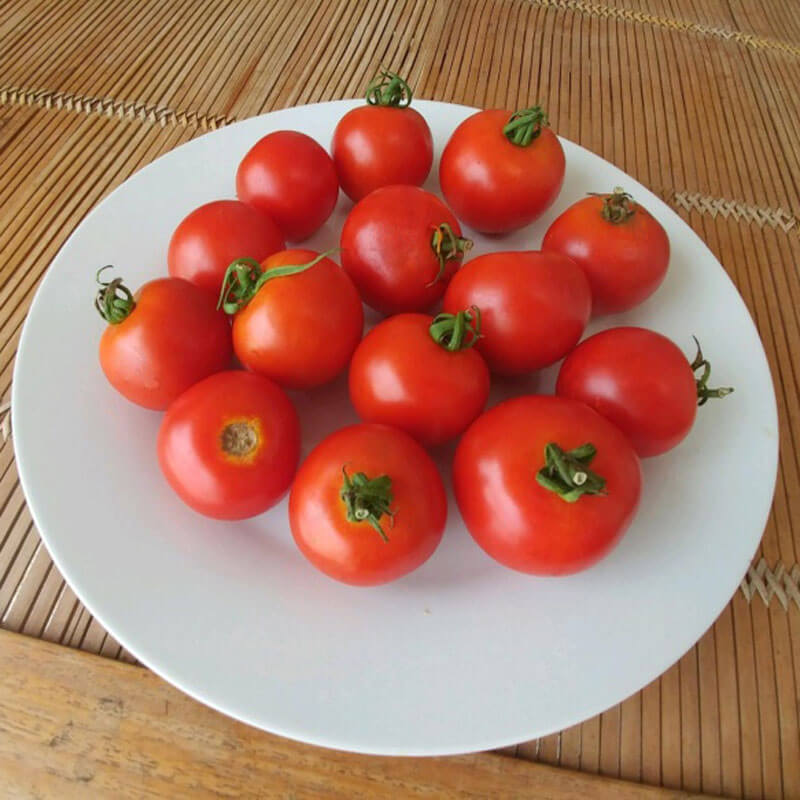 racer herbicide Harris Seeds Tomato Red Racer Organic, Non-GMO, 50 Count