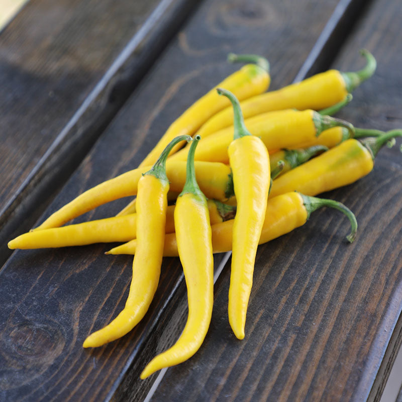 golden cayenne pepper plant Pepper Golden Cayenne F1 Seed RAW / 250 seeds / UNTREATED