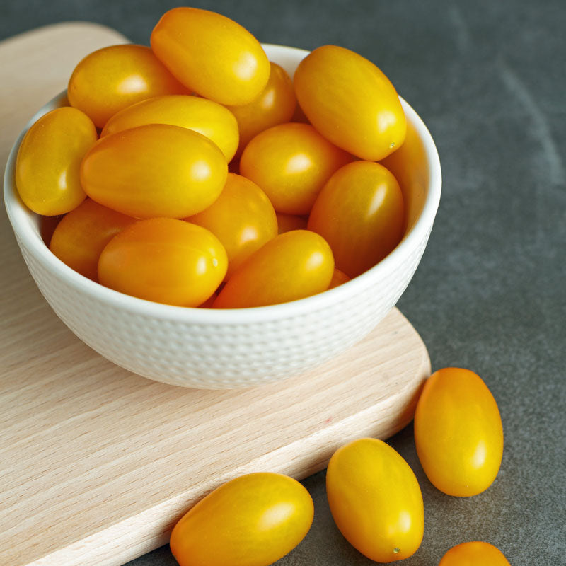 Tomato Gold Spark F1 Seed – Harris Seeds