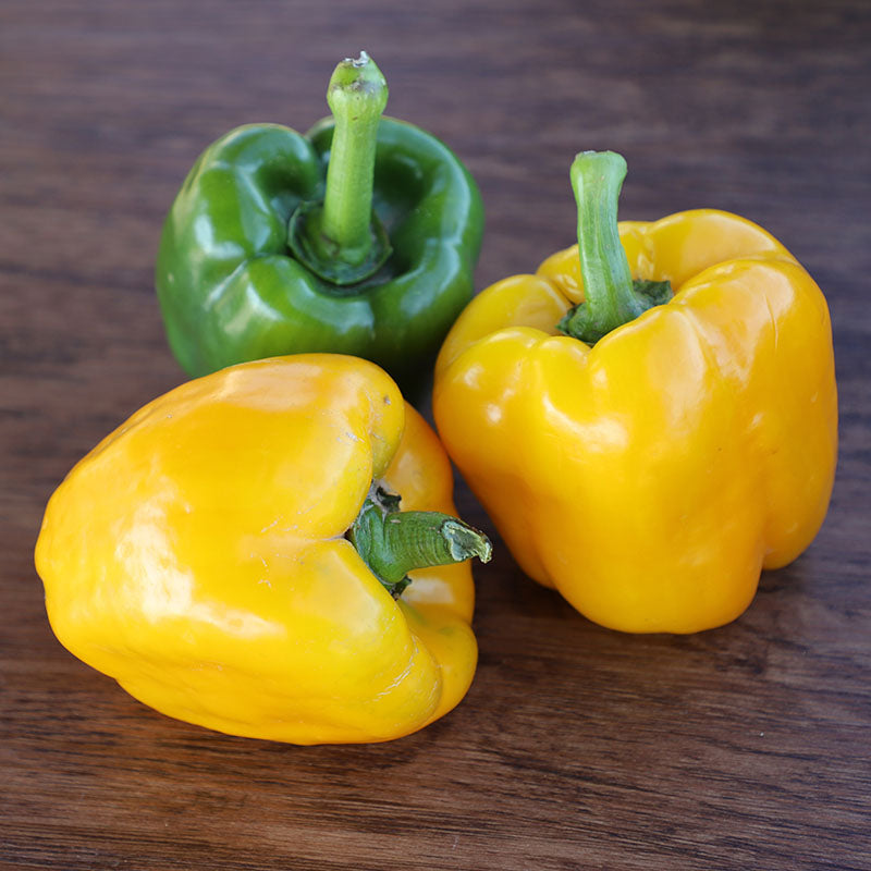 Pepper Abay F1 Organic Seed – Harris Seeds