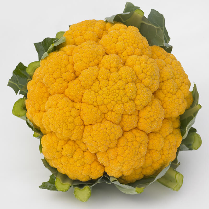 plant clementine seeds Cauliflower Clementine F1 Seed FILM COATED / 1,000 Seeds / Treated