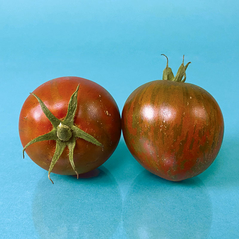 Tomato Purple Zebra F1 Seed – Harris Seeds
