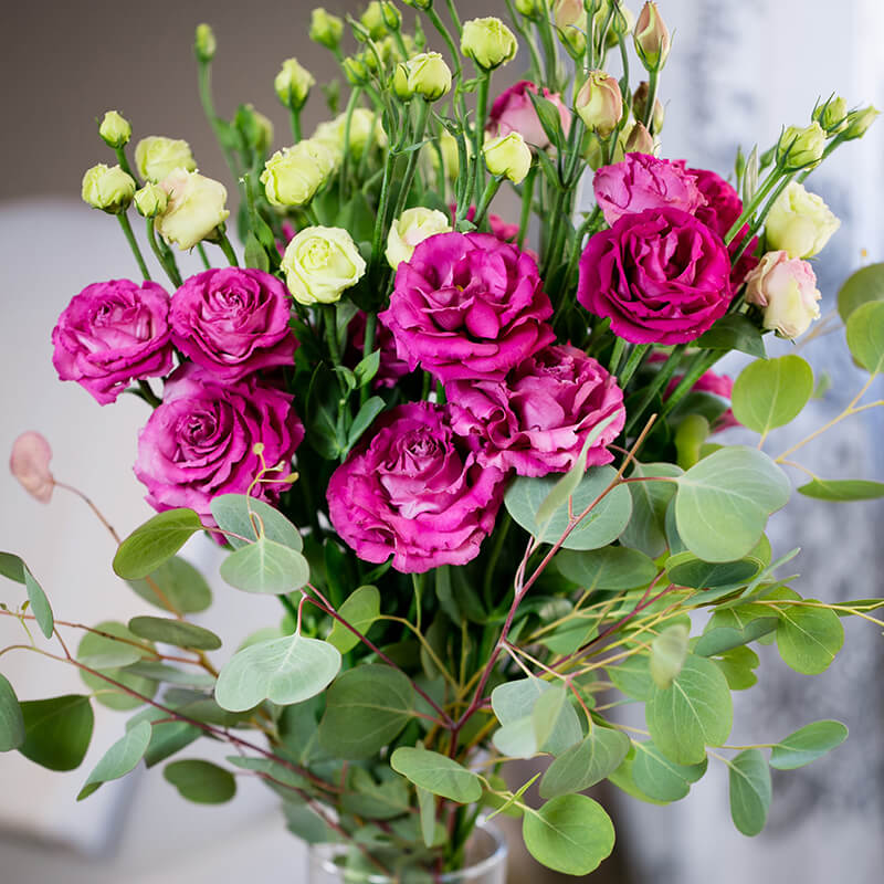 eustoma flower seeds Lisianthus Voyage 2 Deep Rose Seed