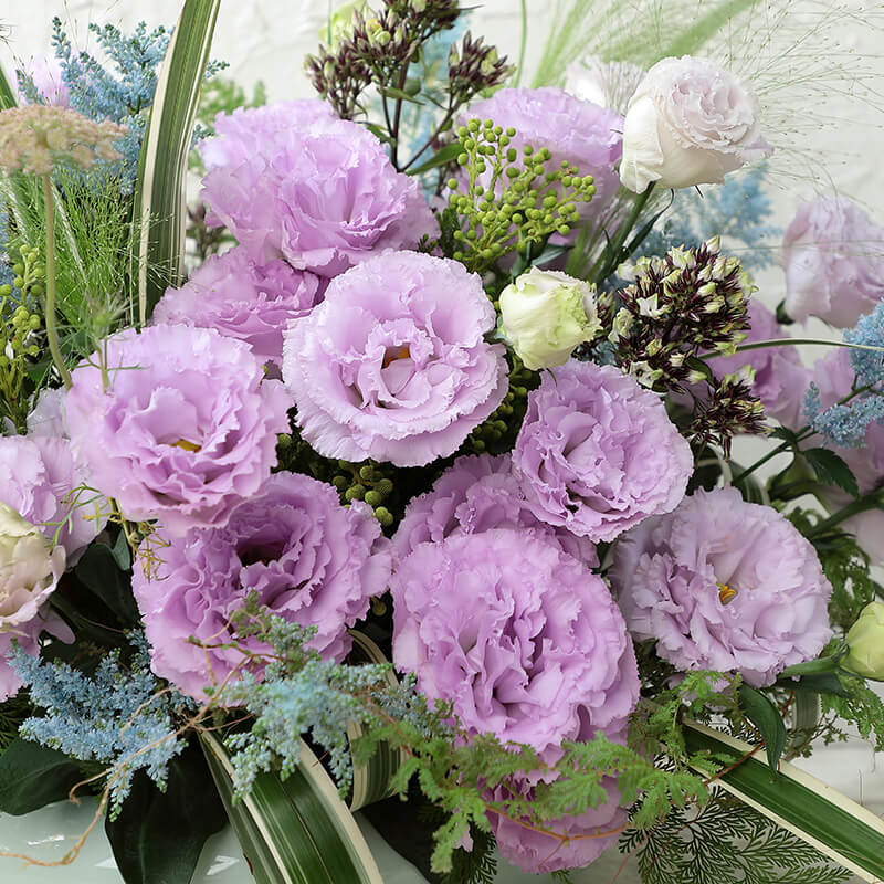 eustoma flower seeds Lisianthus Voyage 2 Lavender F1 Seed