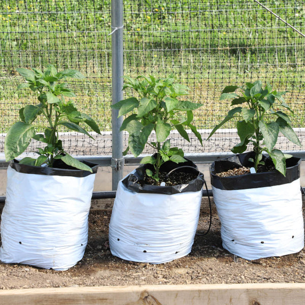 5 Gallon Grow Pot Alternative – Harris Seeds