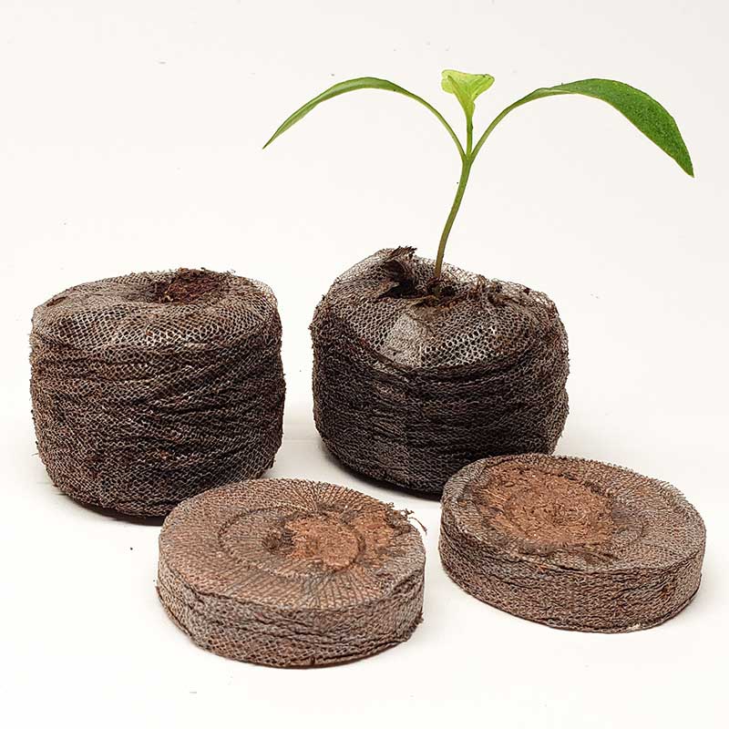 jiffy natural and organic potting mix Jiffy-O Organic Pellets 36mm